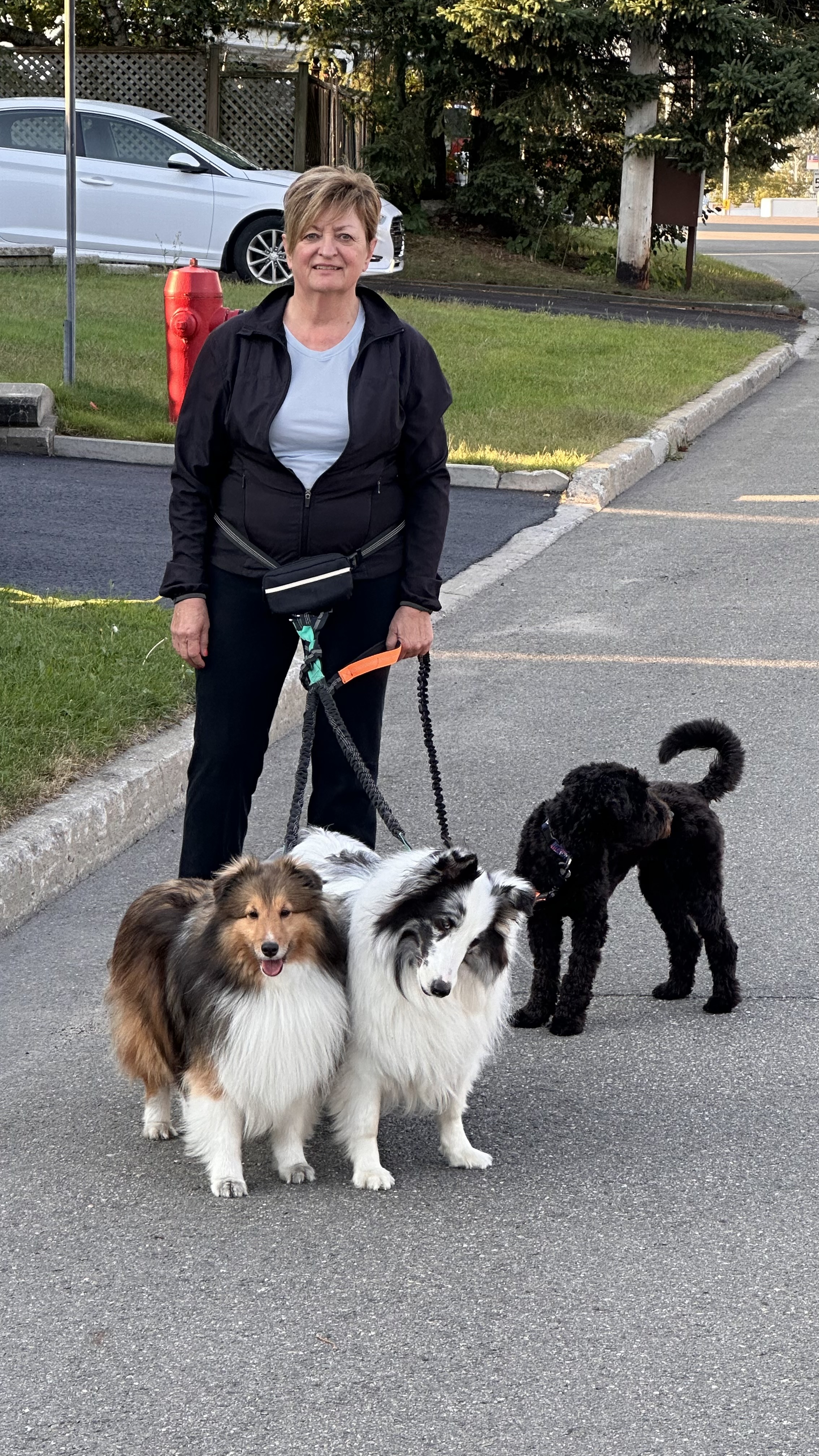 Chien jouant dans la cour